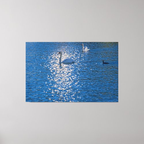 Swan Canvas Print