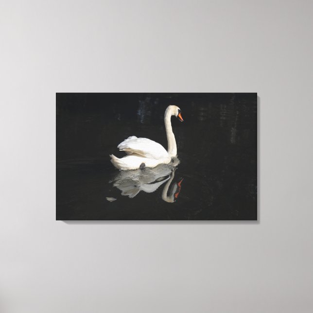 Swan Canvas Print (Front)