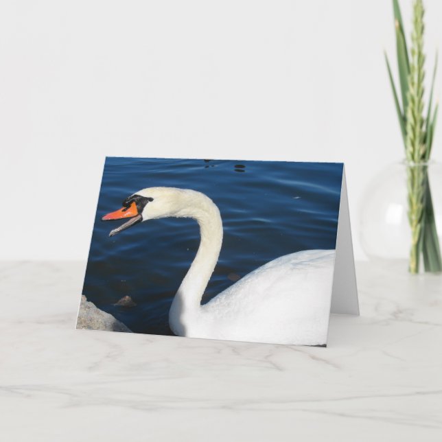 Swan Card (Front)