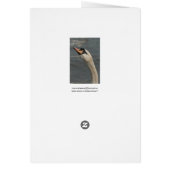 Swan Cards (Back)