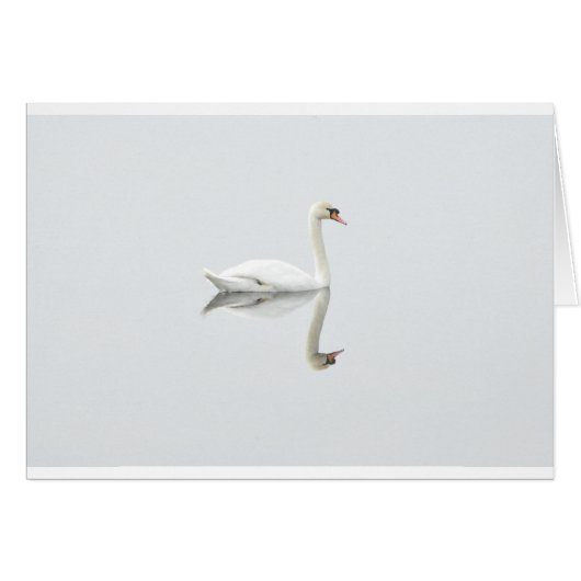 Swan Cards (Front Horizontal)