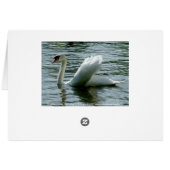 Swan Cards (Back Horizontal)