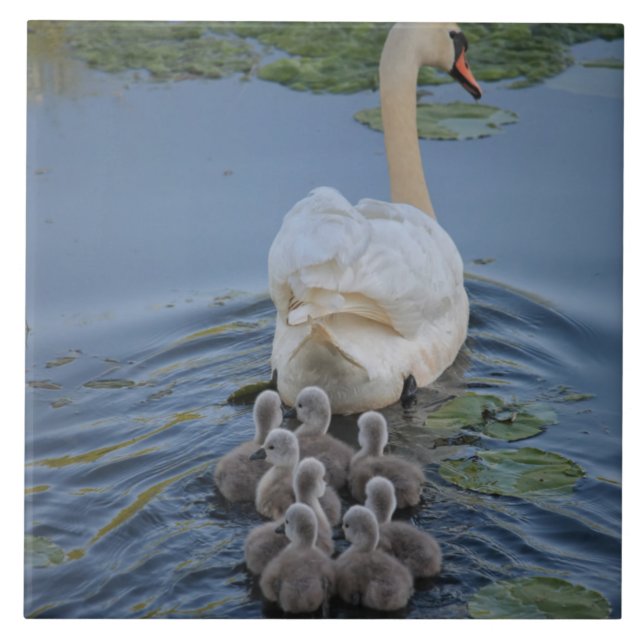 Swan Ceramic Tile (Front)