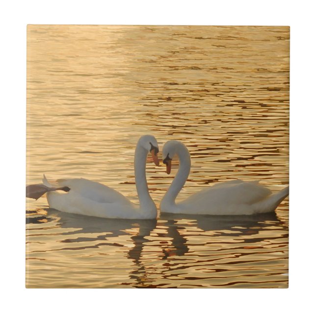 Swan Couple Meeting at Sunset Photograph Tile (Front)