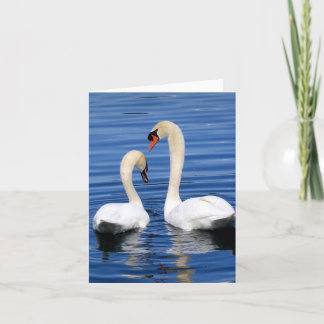 Swan couple notecard greeting card set