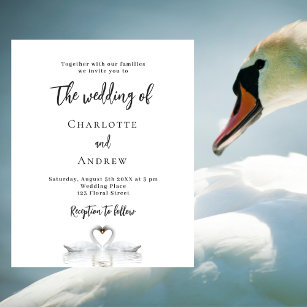Swan couple white budget wedding invitation flyer