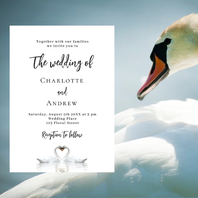 Swan couple white wedding invitation postcard (Creator Uploaded)