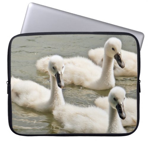 Swan Cygnets Swimming Laptop Sleeve