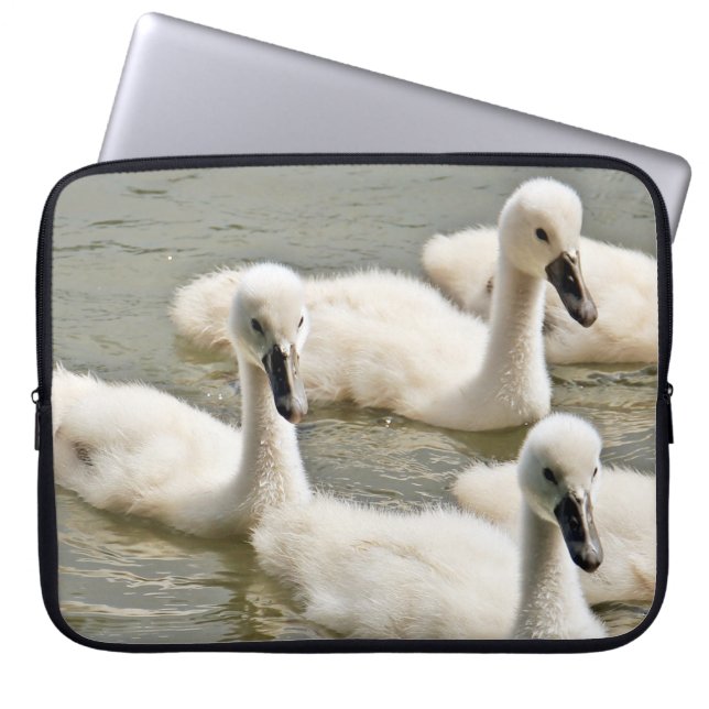 Swan Cygnets Swimming Laptop Sleeve (Front)