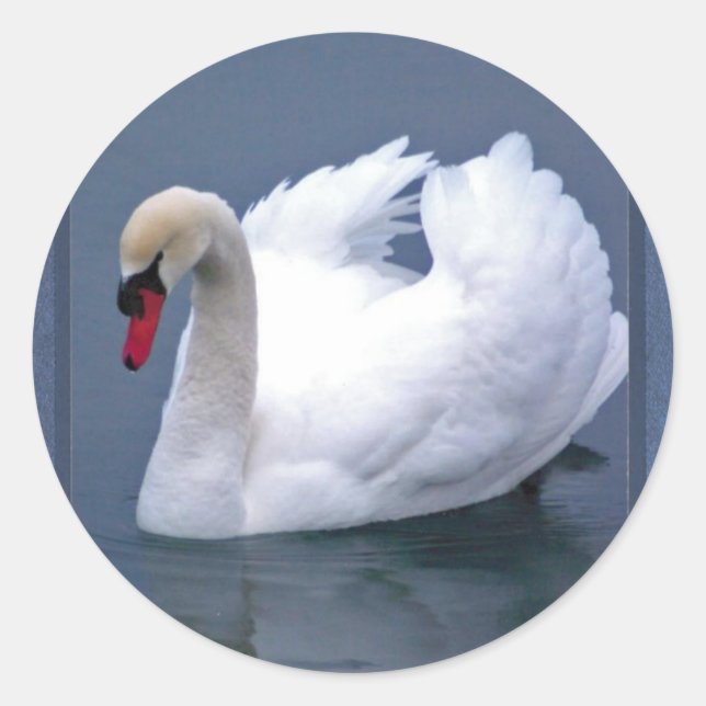 SWAN ELEGANCE CLASSIC ROUND STICKER (Front)
