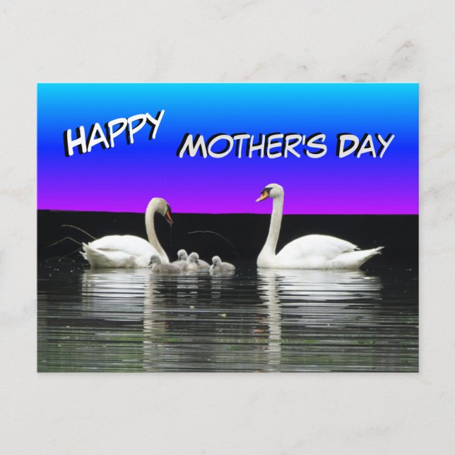Swan Family Happy Mother's Day Postcard (Front)