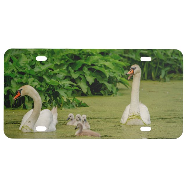 Swan Family License Plate (Front)