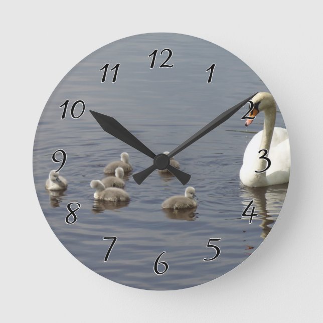 Swan Family with mom and ducklings or cygnets Round Clock (Front)