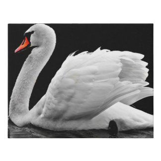 Swan Faux Canvas Print