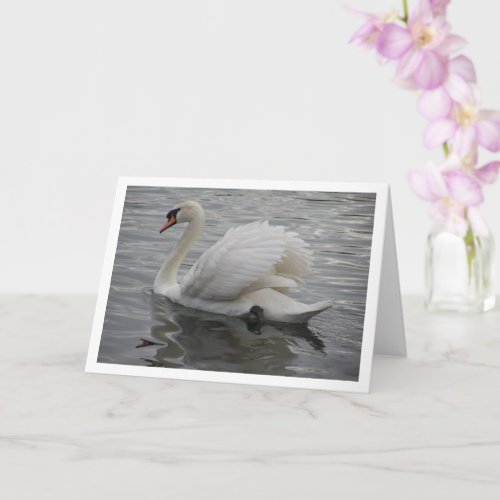 Swan Gliding in Lake Card