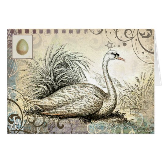 Swan Graphic Cards (Front Horizontal)