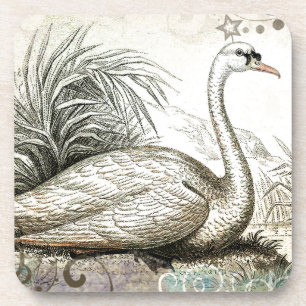 Swan Graphic Coaster
