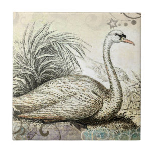Swan Graphic Tile