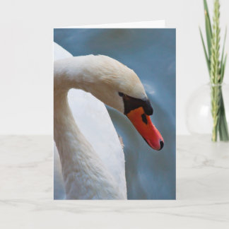 Swan Greeting Card
