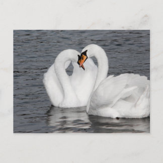 swan heart postcard
