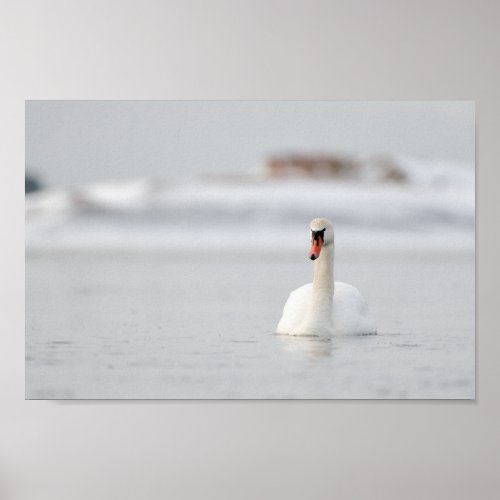 Swan in a frozen sea landscape poster