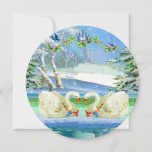 Swan in a Winter Wonderland Card