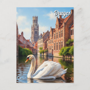 Swan in Bruges Belgium Travel Souvenir Postcard
