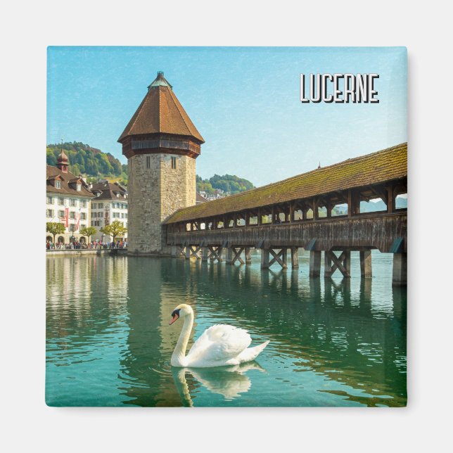 Swan in Lucerne Switzerland Travel Magnet (Front)