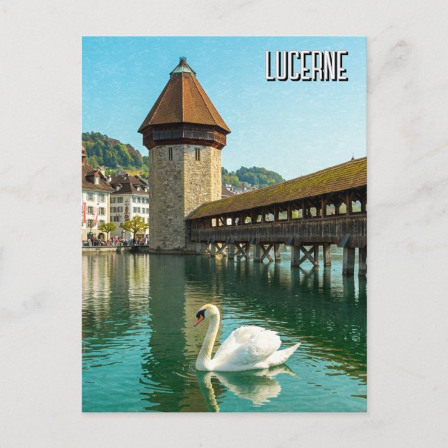Swan in Lucerne Switzerland Travel Postcard (Front)