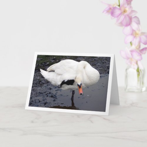 Swan in Salute Pose Card