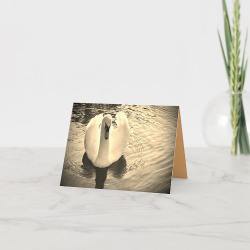 Swan in Sepia Card