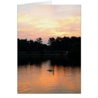 Swan Lake Cards