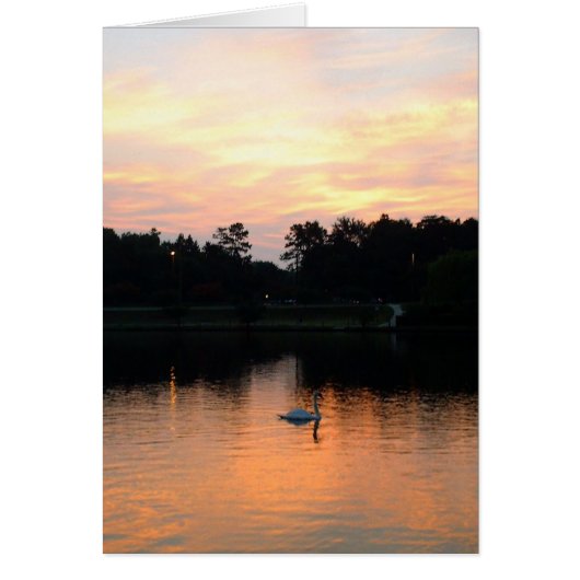 Swan Lake Cards (Front)