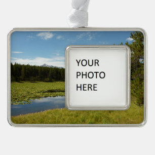 Swan Lake I at Grand Teton National Park Christmas Ornament