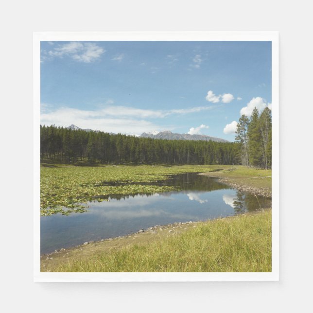 Swan Lake I at Grand Teton National Park Napkins (Front)