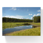 Swan Lake I at Grand Teton National Park Paperweight