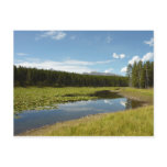 Swan Lake I at Grand Teton National Park Postcard