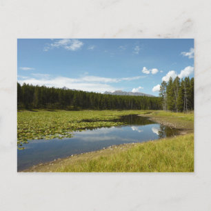Swan Lake I at Grand Teton National Park Postcard