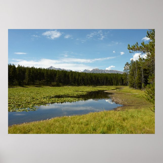 Swan Lake I at Grand Teton National Park Poster (Front)