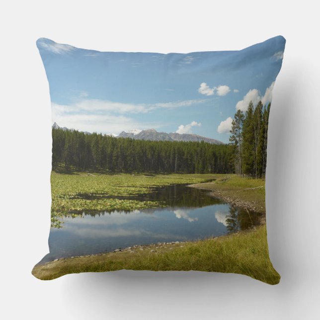 Swan Lake I at Grand Teton National Park Throw Pillow (Front)