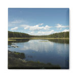 Swan Lake II at Grand Teton National Park Magnet