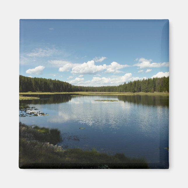 Swan Lake II at Grand Teton National Park Magnet (Front)