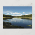 Swan Lake II at Grand Teton National Park Postcard