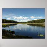 Swan Lake II at Grand Teton National Park Poster