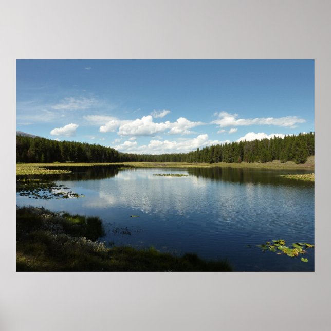 Swan Lake II at Grand Teton National Park Poster (Front)
