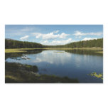 Swan Lake II at Grand Teton National Park Rectangular Sticker