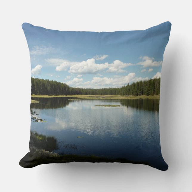 Swan Lake II at Grand Teton National Park Throw Pillow (Front)