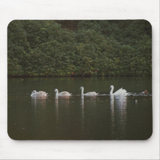 Swan lake Mousepad