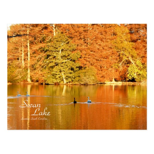 Swan Lake, Sumter SC Postcard