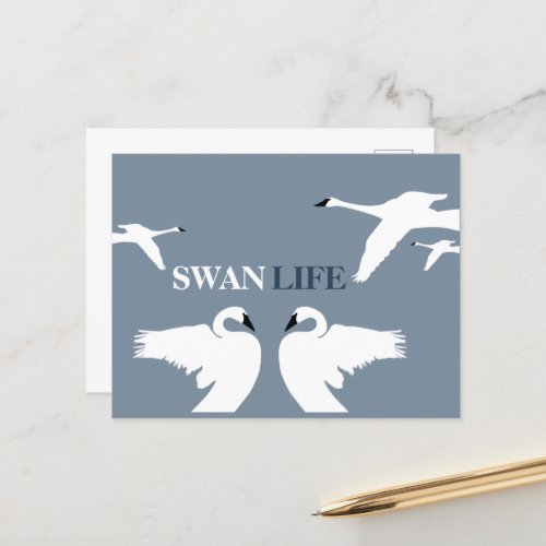 Swan Life Elegant Swan Postcard